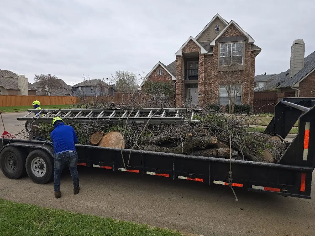 Expert Tree Fertilization with proper safety equipment in Crawfordsville